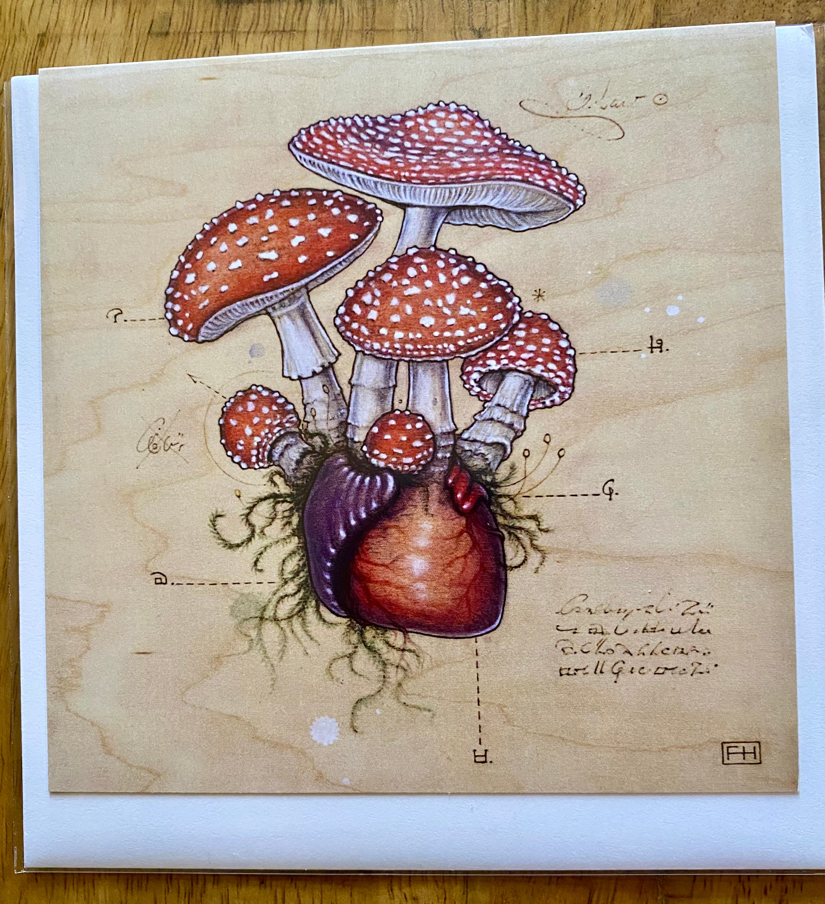 Artist Fay Helfer Greeting Cards
