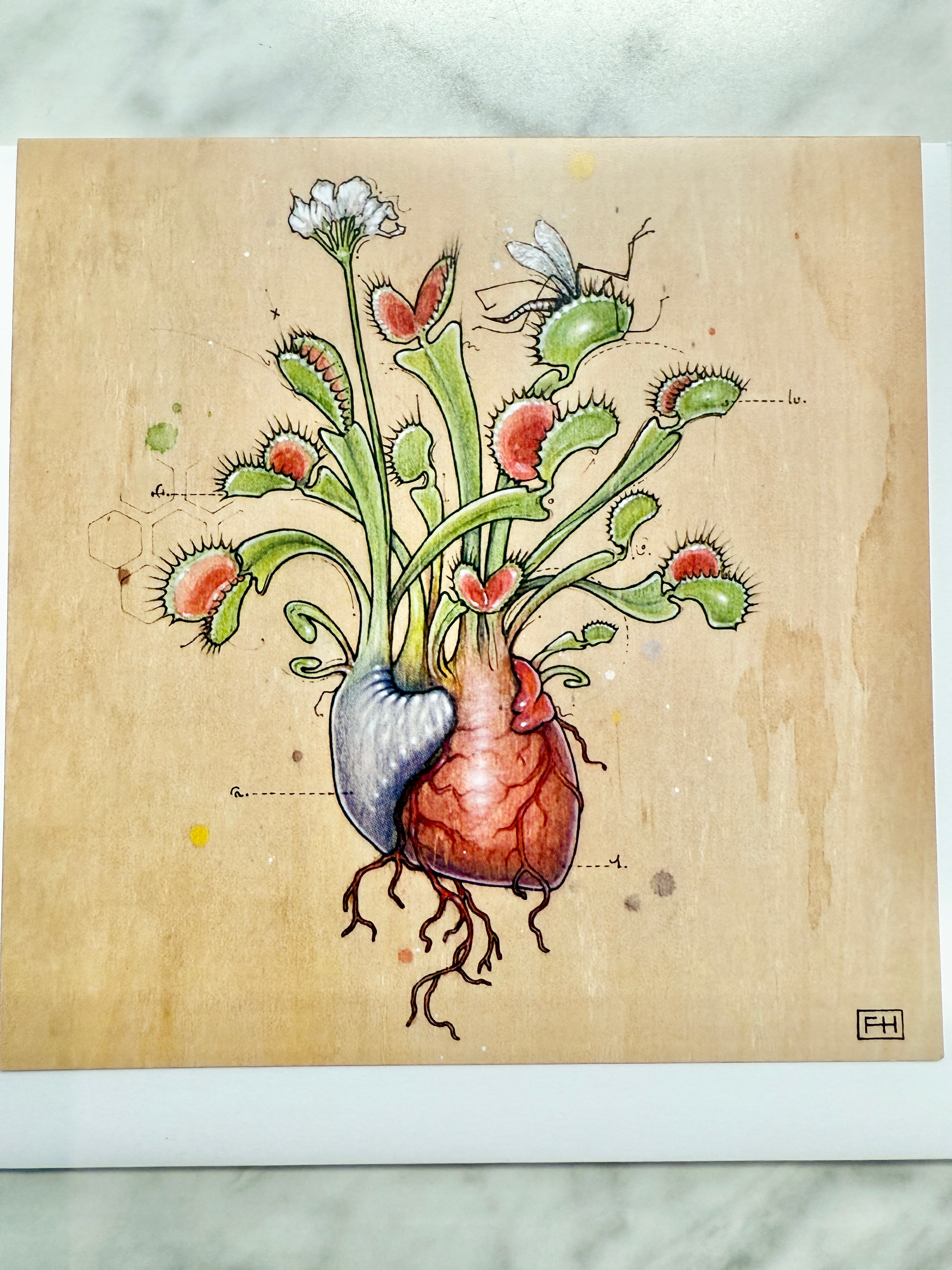 Illustration of a Venus flytrap on a textured beige background