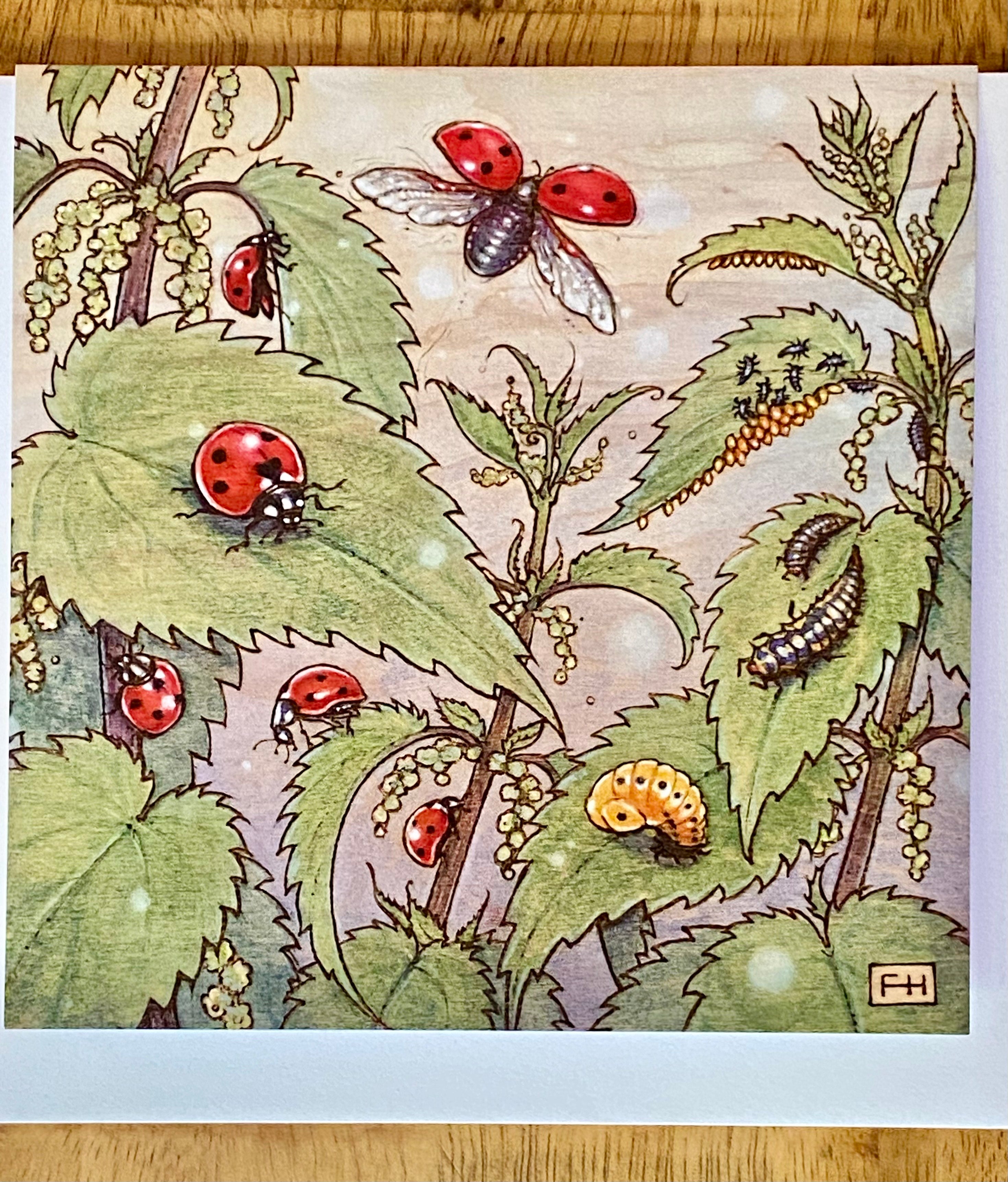 lady bug card