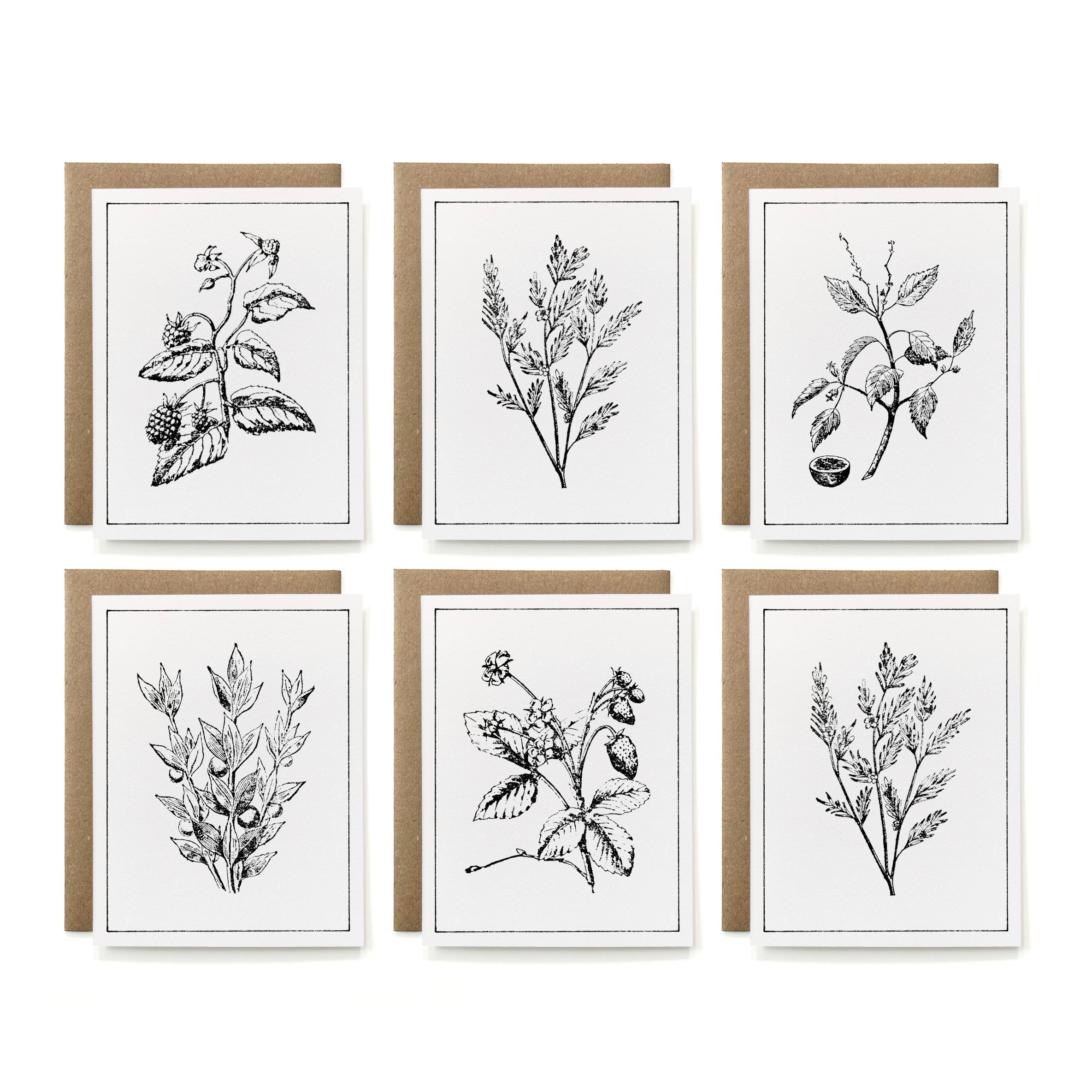 Note Card Sets