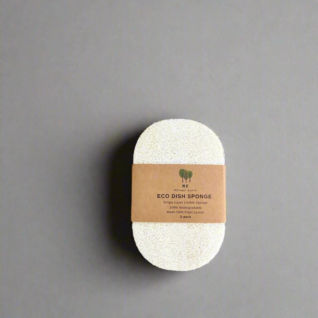 loofah dish sponge with a kraft paper band