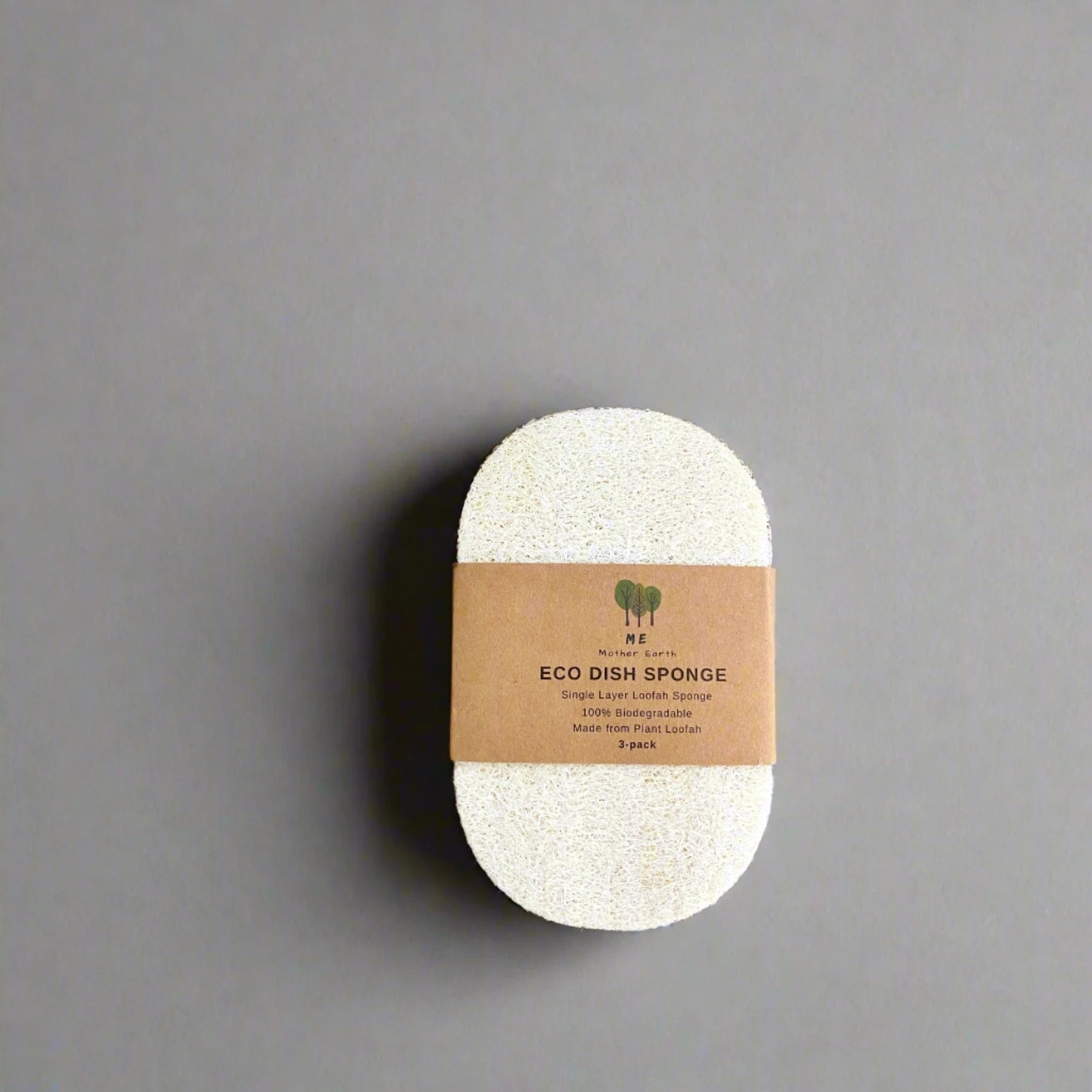 loofah dish sponge with a kraft paper band