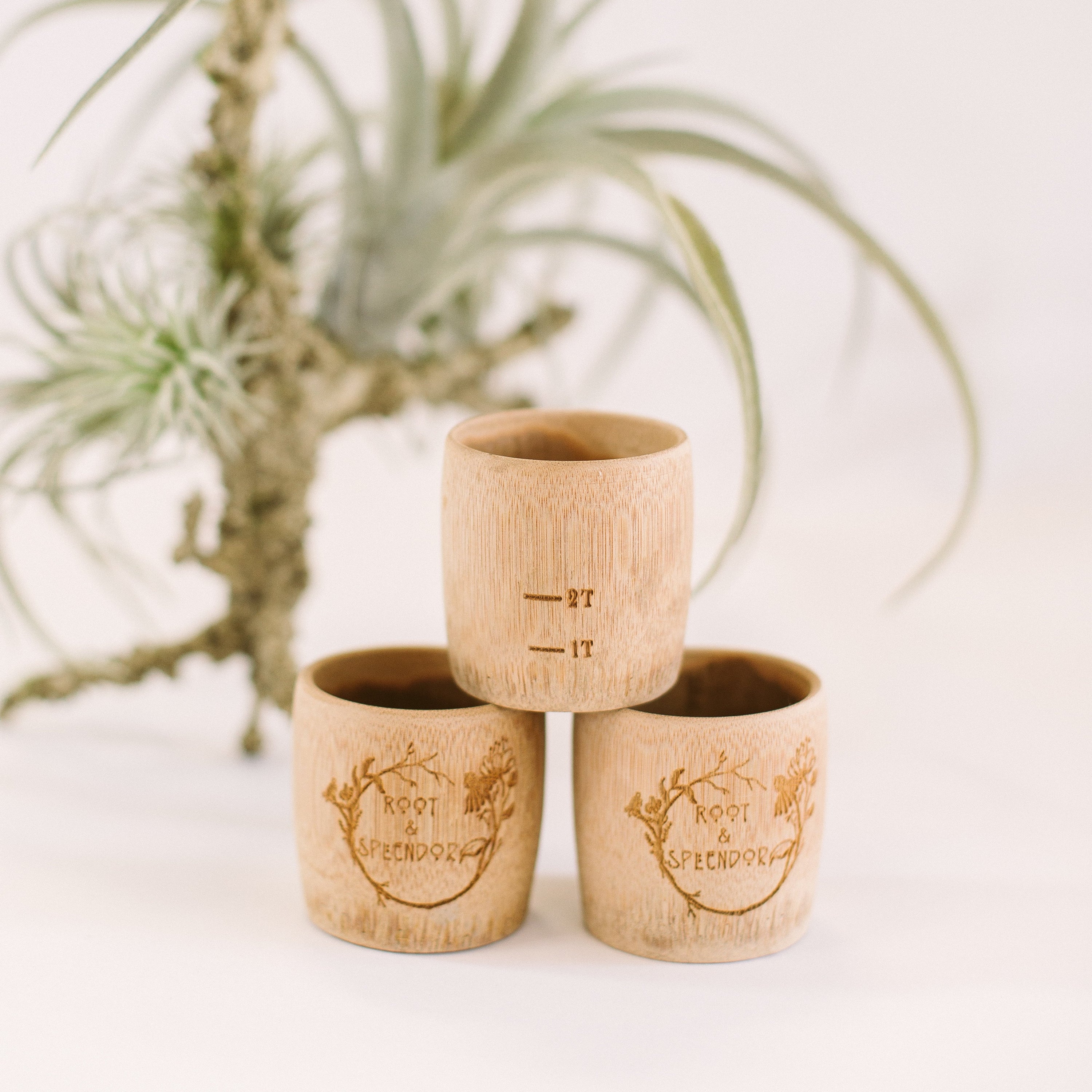 Three bamboo measuring cups stacked on top of each other with the Root and Splendor logo and measurement marks engraved on them. There is a plant in the background.