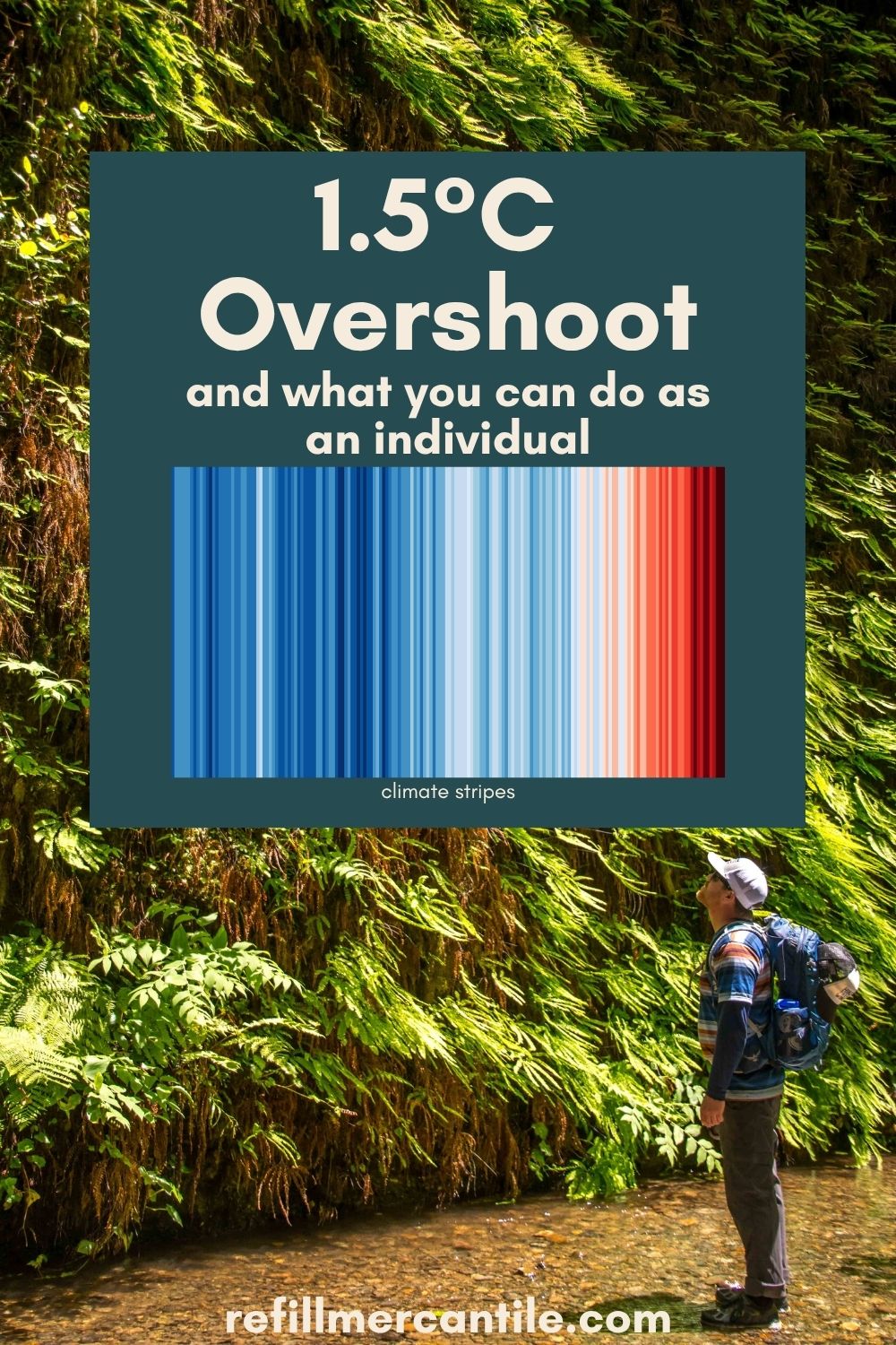 1.5°C Overshoot and What You Can Do