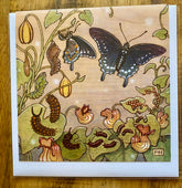 The Artist Fay Helfer Greeting Cards by Fay Helfer feature butterfly life cycle illustrations with caterpillars, chrysalises, and adult butterflies among green leaves and orange flowers on a warm, earthy background.