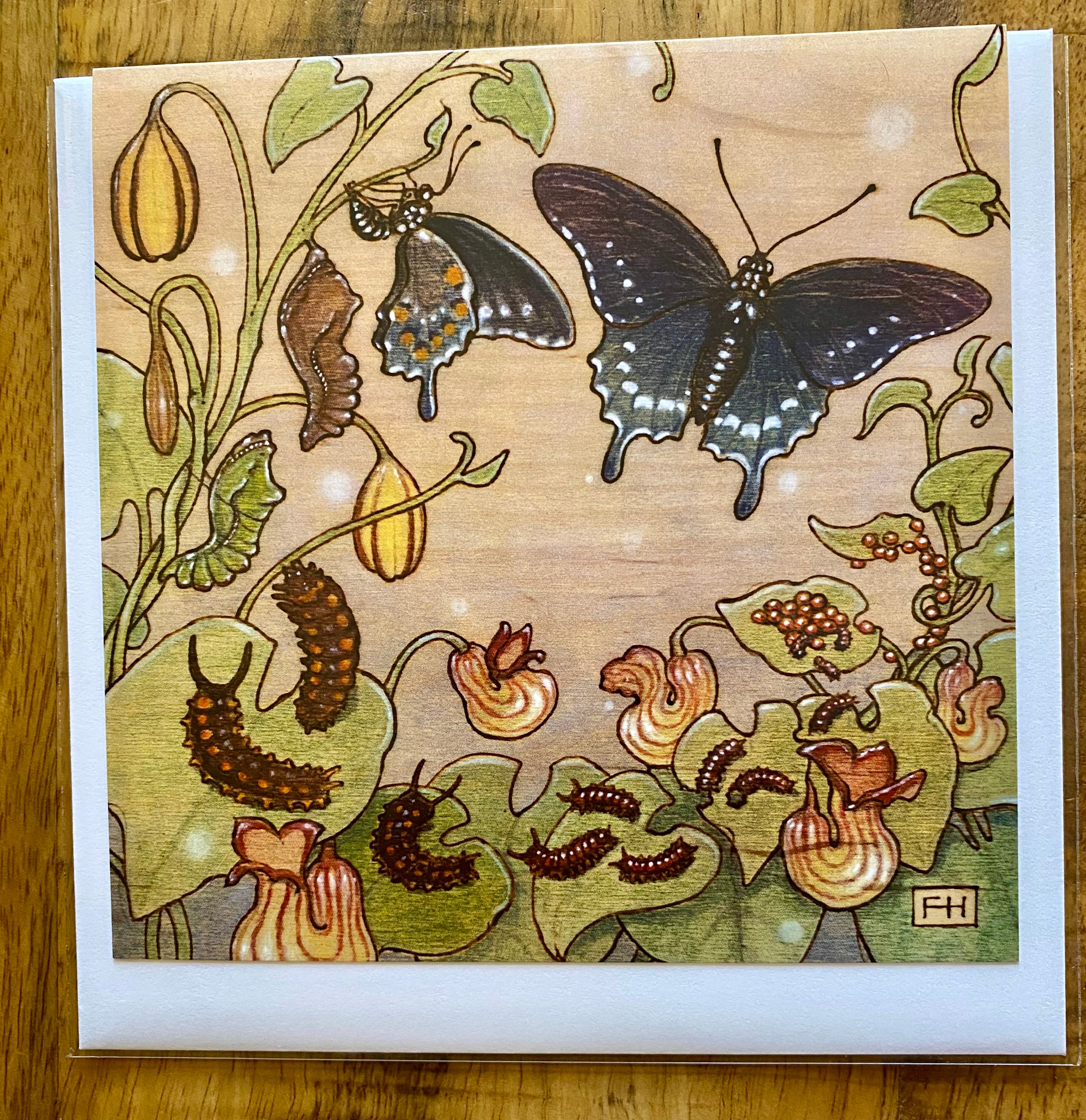 The Artist Fay Helfer Greeting Cards by Fay Helfer feature butterfly life cycle illustrations with caterpillars, chrysalises, and adult butterflies among green leaves and orange flowers on a warm, earthy background.