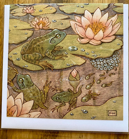 Colorful pond illustration on Artist Fay Helfer Greeting Cards by Fay Helfer featuring blooming water lilies, lily pad frogs, swimming tadpoles, and frog eggs—capturing vibrant frog life stages in inspiring detail.