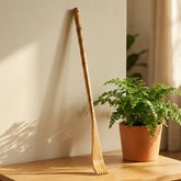 The Bamboo Switch Bamboo Backscratcher rests against a white wall on a wooden surface beside a potted green fern as sunlight brightens the cozy room.