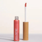 Lip gloss with wooden applicator and pink shade on a white background