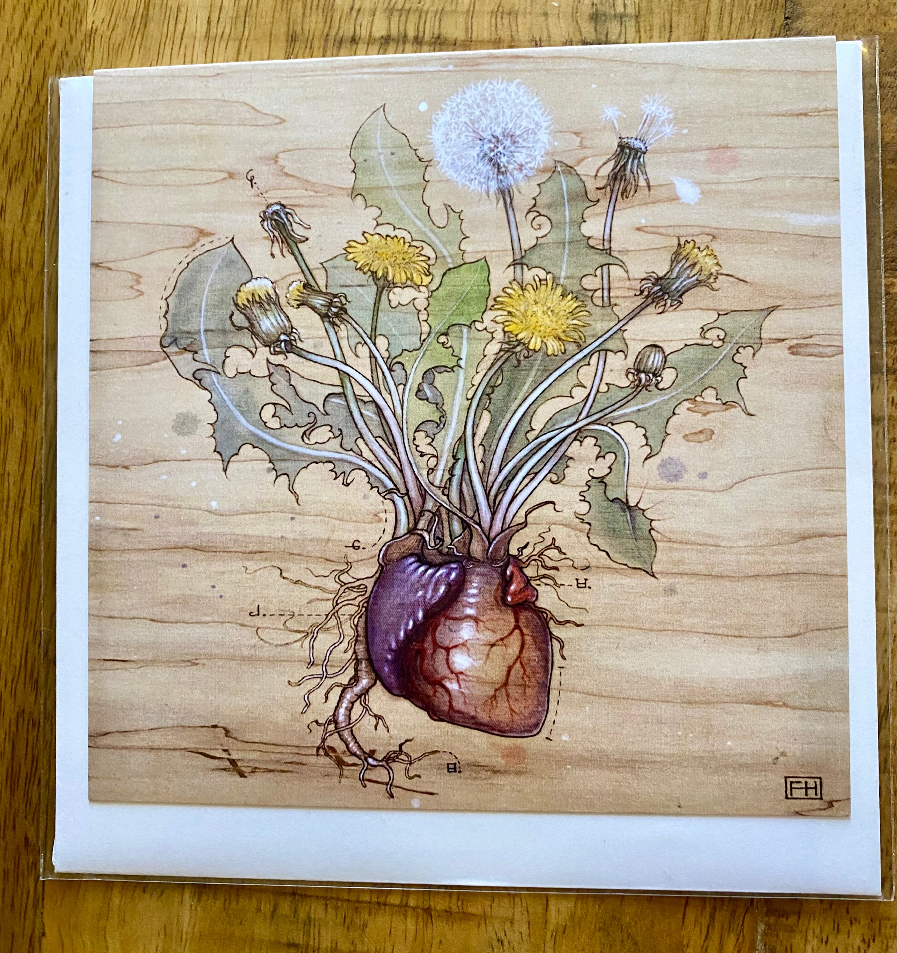 A detailed illustration of dandelions sprouting from a realistic heart, roots below, on wood-textured background—reminiscent of Fay Helfer’s style. Perfect as a unique gold foil art print on Artist Fay Helfer Greeting Cards by Fay Helfer.