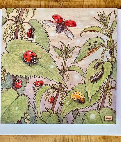 lady bug card