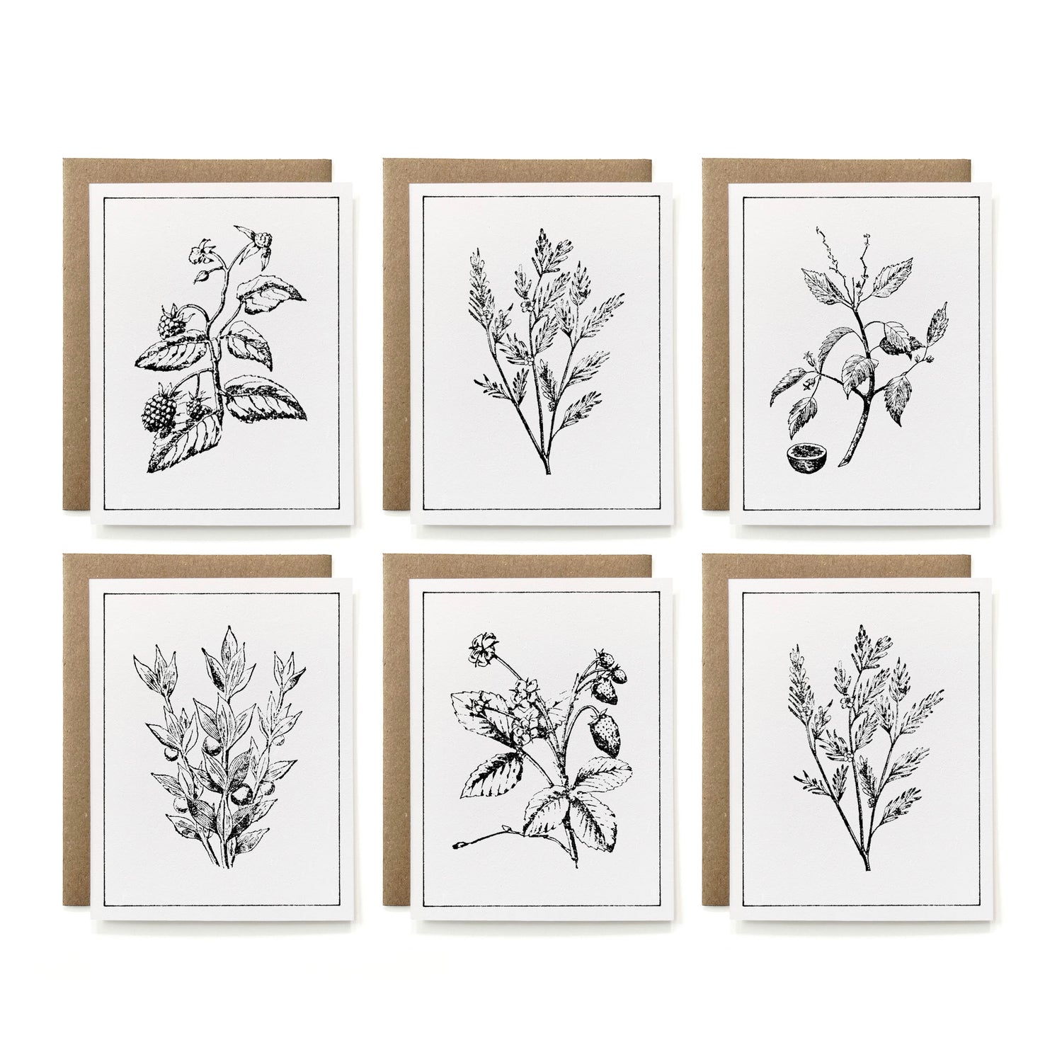 Note Card Sets