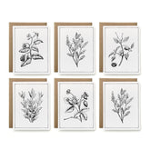 Set of six botanical prints with black line art on white backgrounds, framed with brown borders.