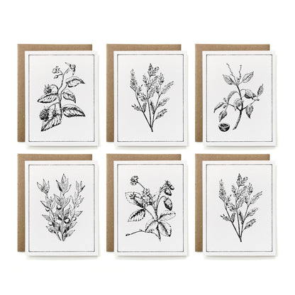 Note Card Sets