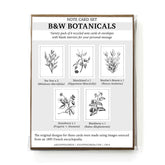 Note card set packaging with botanical illustrations on a white background