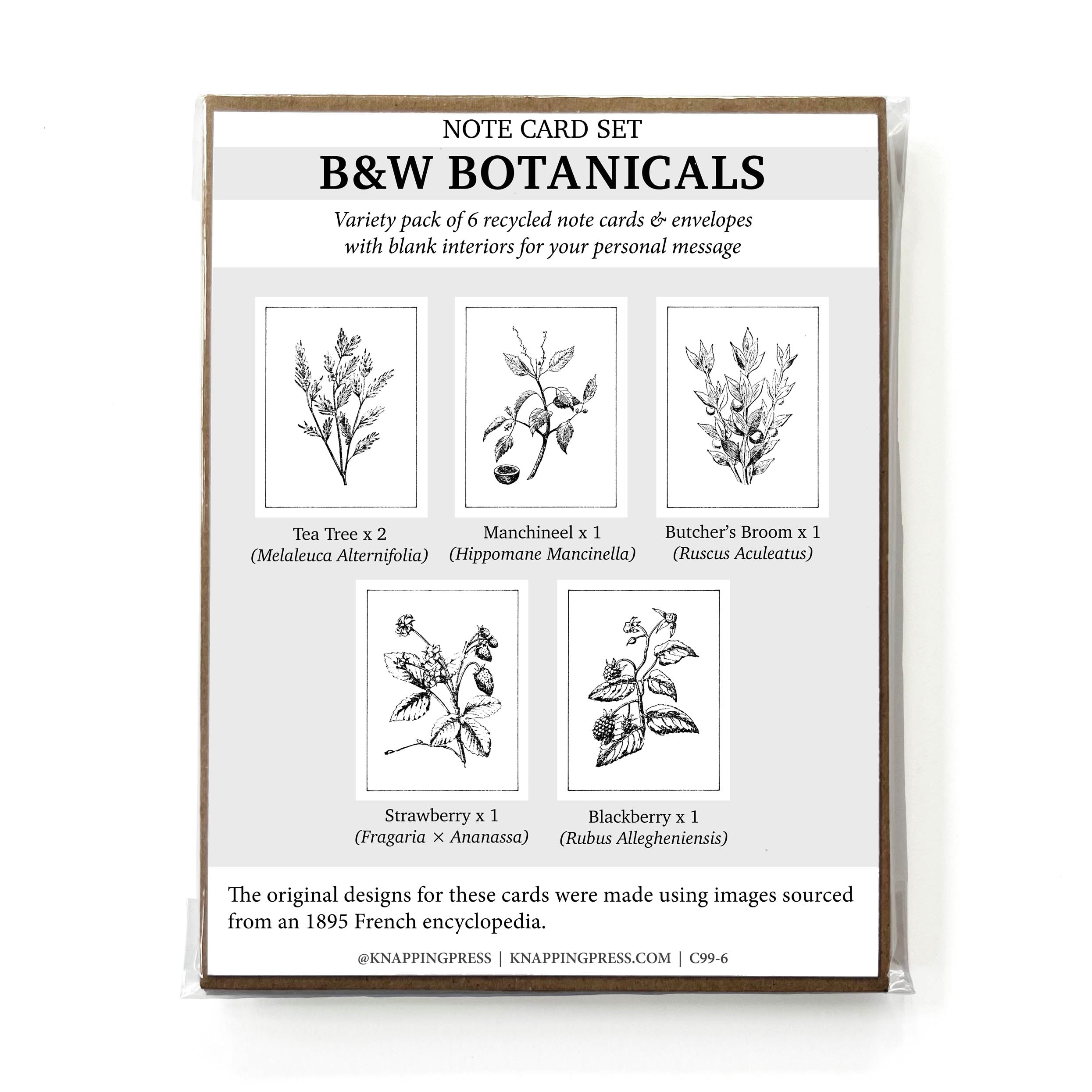 Note card set packaging with botanical illustrations on a white background