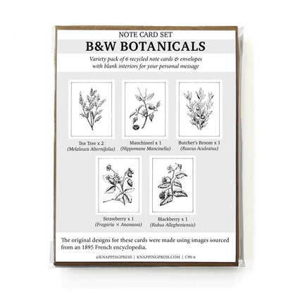 Note Card Sets