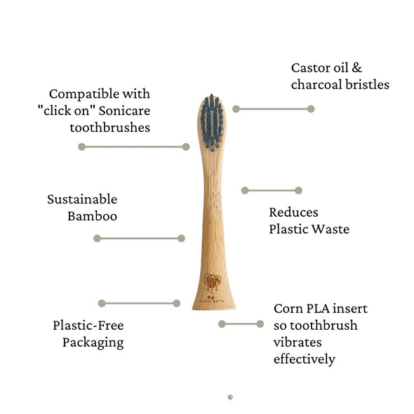 Bamboo toothbrush with features highlighted on a white background