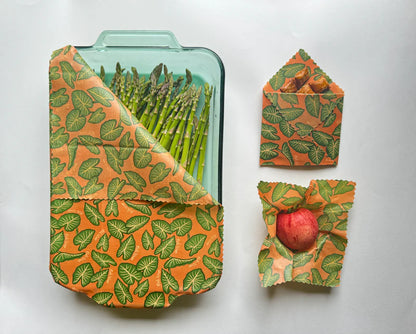 Eco Nudge Kitchen Bundle