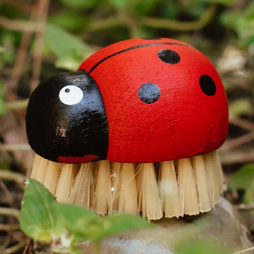 The Zefiro Ladybug Brush features natural sisal bristles and a red-and-black ladybug handle, offering an eco-friendly, plastic-free cleaning solution that looks great among green plants outdoors.