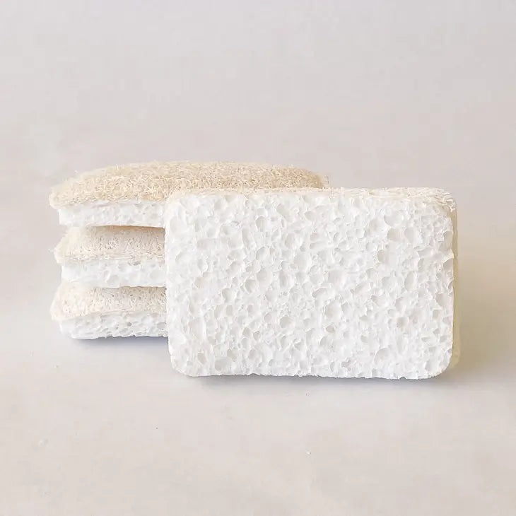 All Natural Plastic Free Sponge