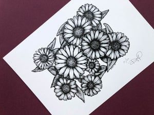 Echinacea Daisy Print 