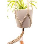 Little Feral plant hanger with plant