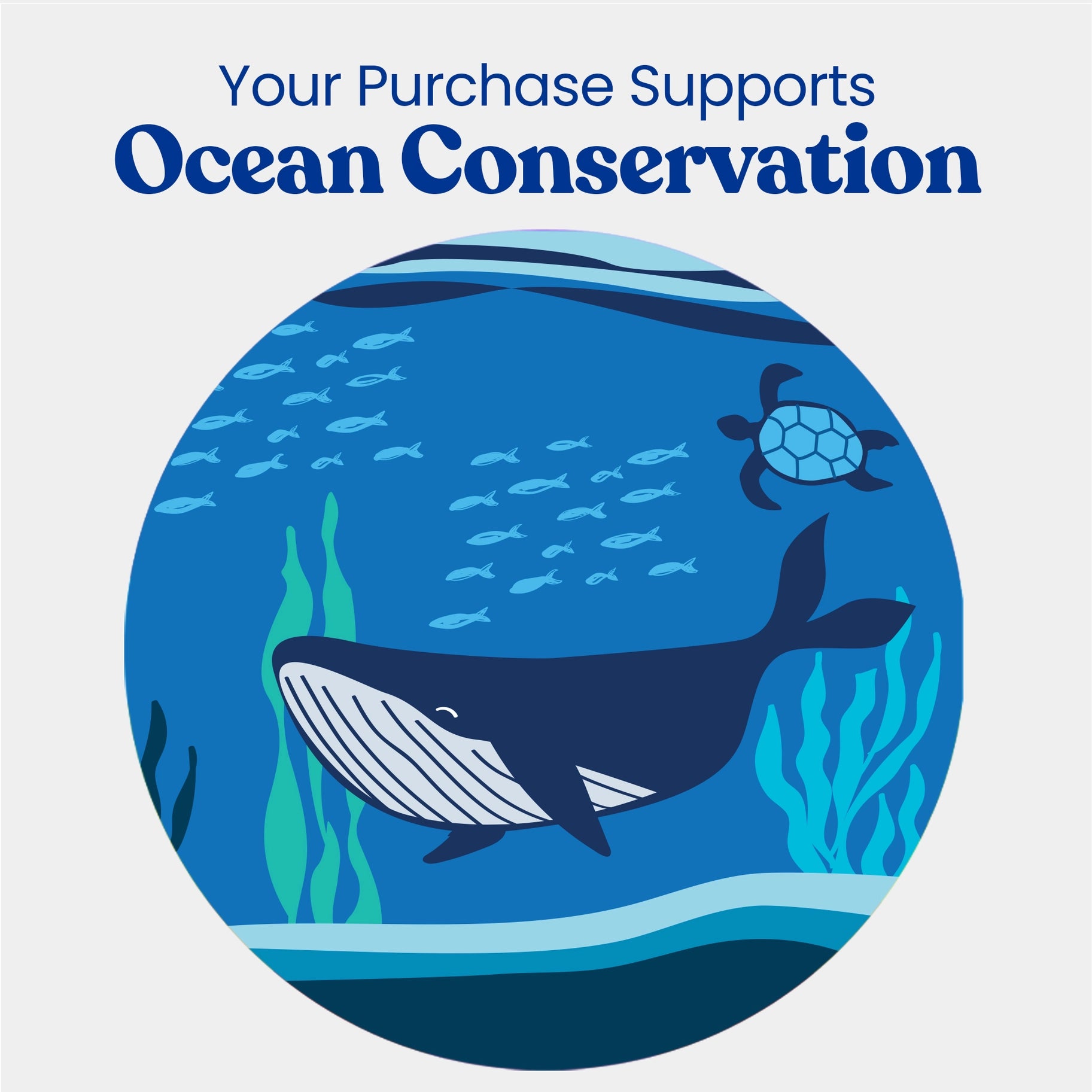 ocean conservation