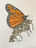 Original Monarch Butterfly in Ink and Ochre Pigment
