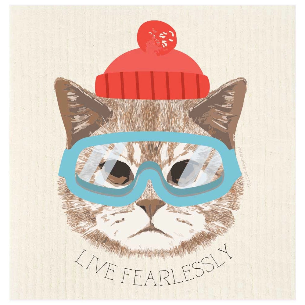 fearless cat
