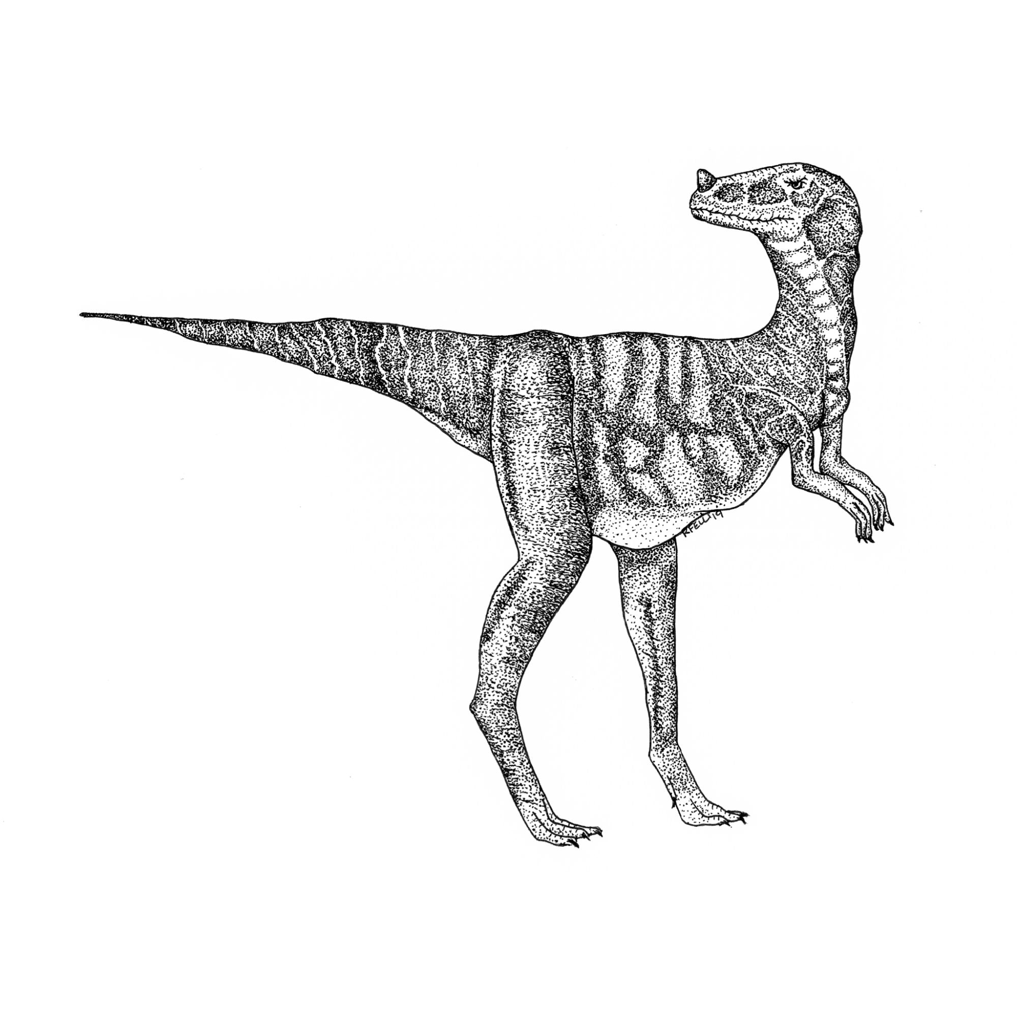 RaptorPrint
