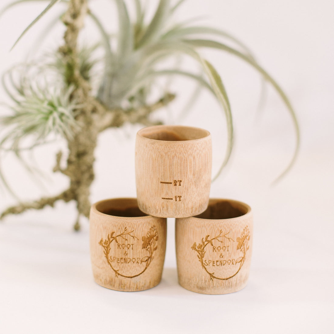 Bamboo Measuring Cup