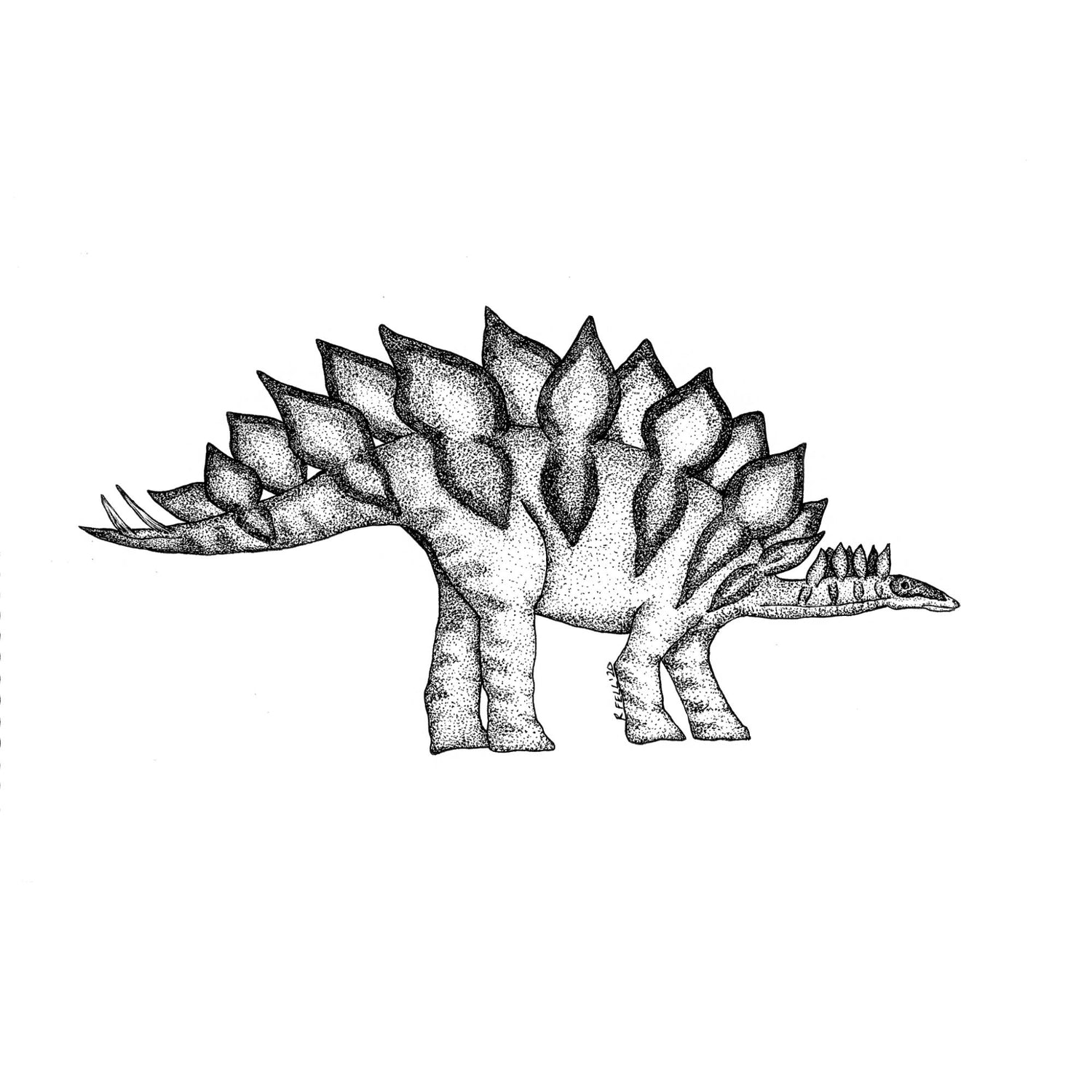 Stegosaurus BW Print